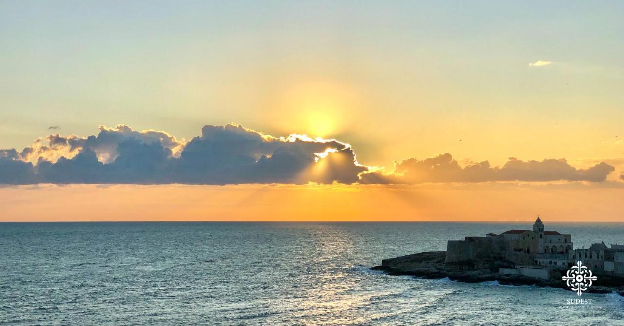 Infinito - Attico Sul Mare Διαμέρισμα Βιέστε Εξωτερικό φωτογραφία