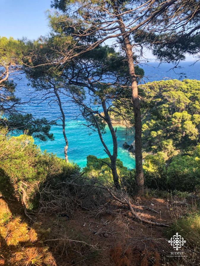 Infinito - Attico Sul Mare Διαμέρισμα Βιέστε Εξωτερικό φωτογραφία